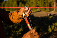 Ruffwear Knot-a-Hitch